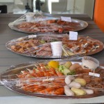 boeni2015-DSC_0025
